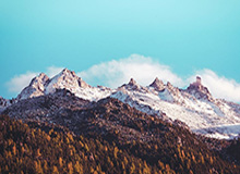 世界杯注册流程-德约第九次打入年终总决赛四强 半决赛将火拼蒂姆